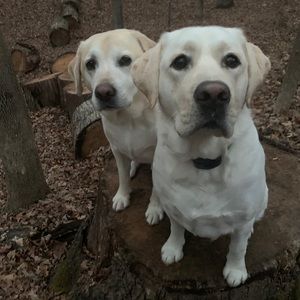 Meet your Posher, Ben